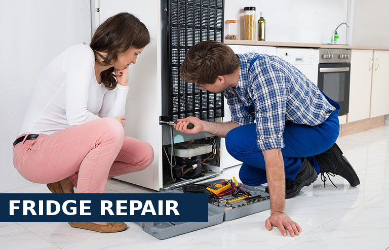 Fridge Repair Lewisham